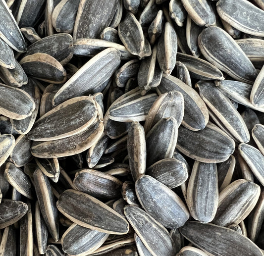 Skin Benefits of Sunflower Seeds